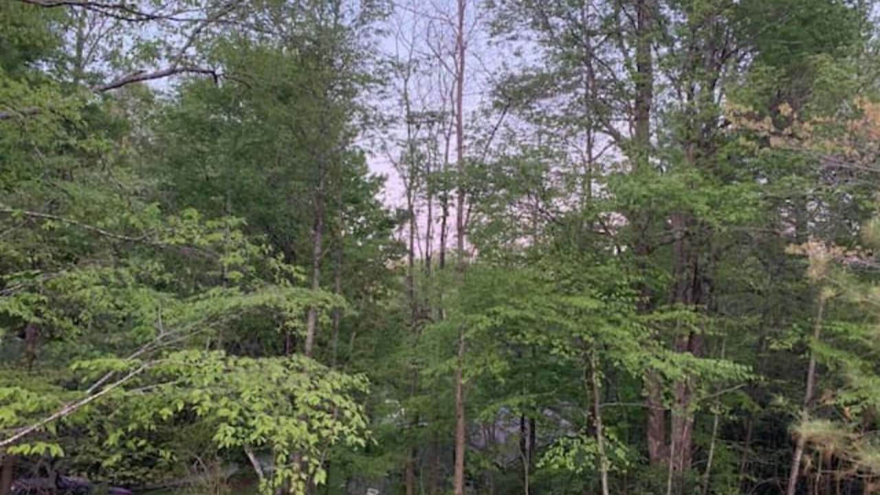Photo of Outdoor in Newland