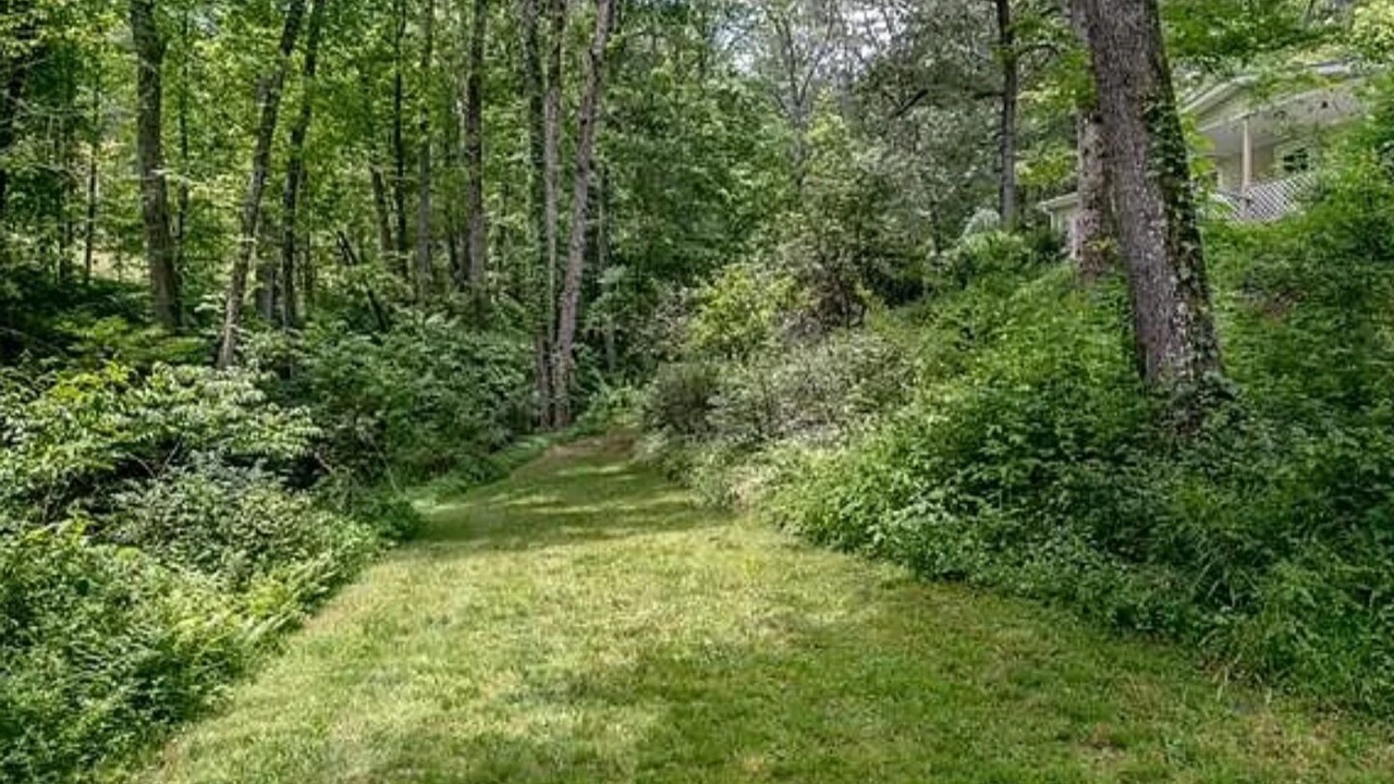 Photo of Outdoor in Brevard