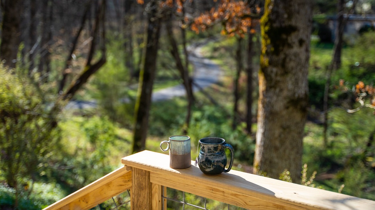 Photo of Outdoor in Brevard