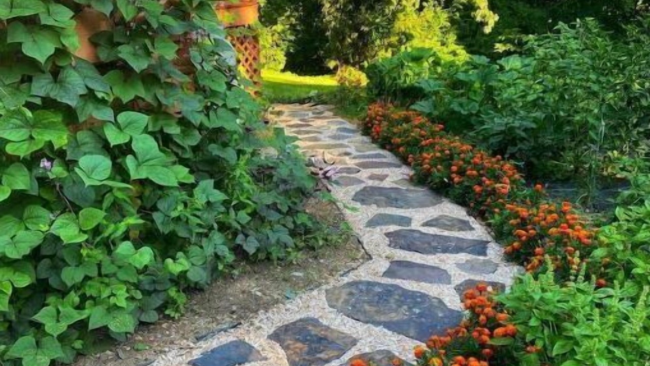 Photo of Outdoor in York Springs