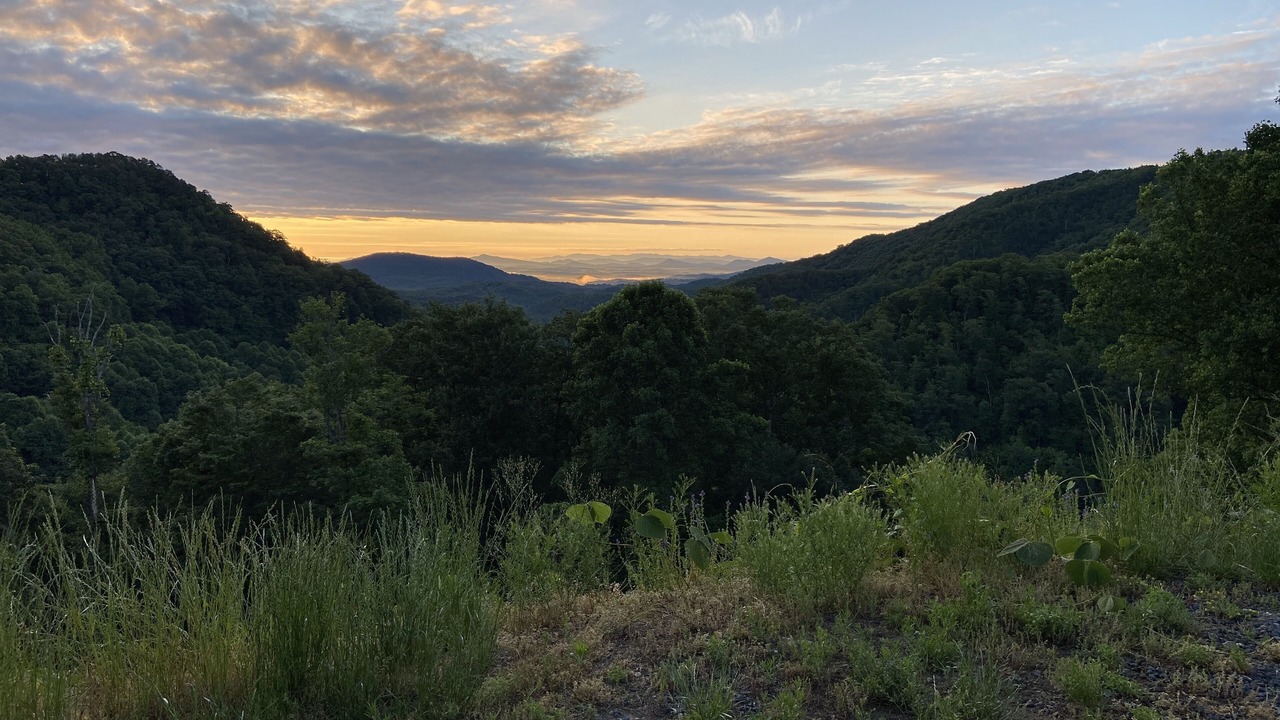 Photo of Outdoor in Marion