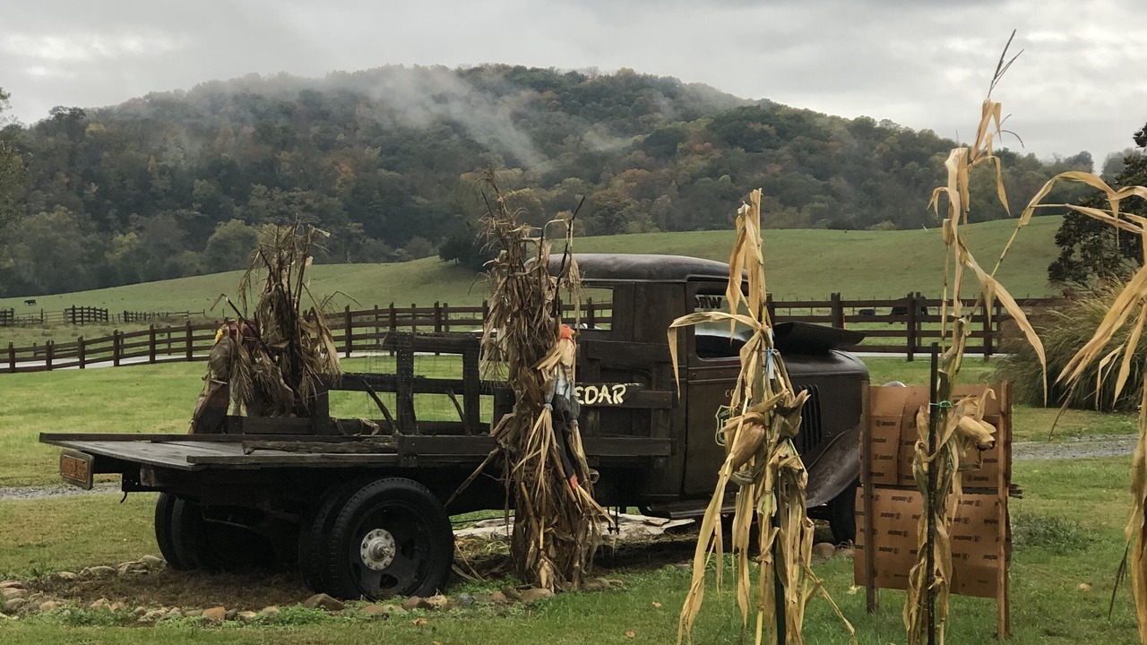 Photo of Outdoor in Johnson City