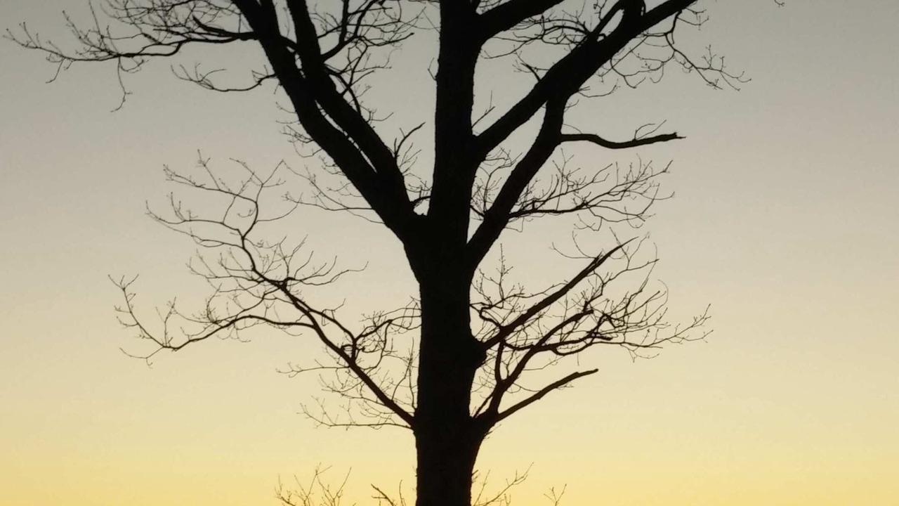 Photo of Others in Apple Ridge