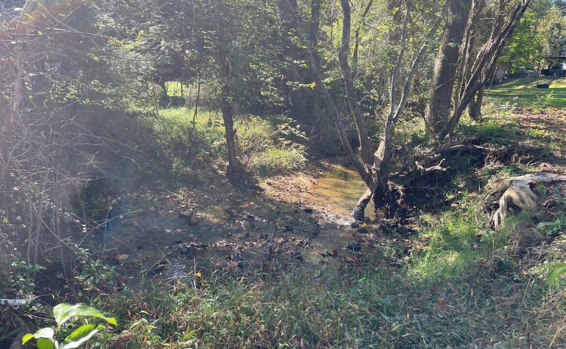 Photo of Outdoor in Haw Creek