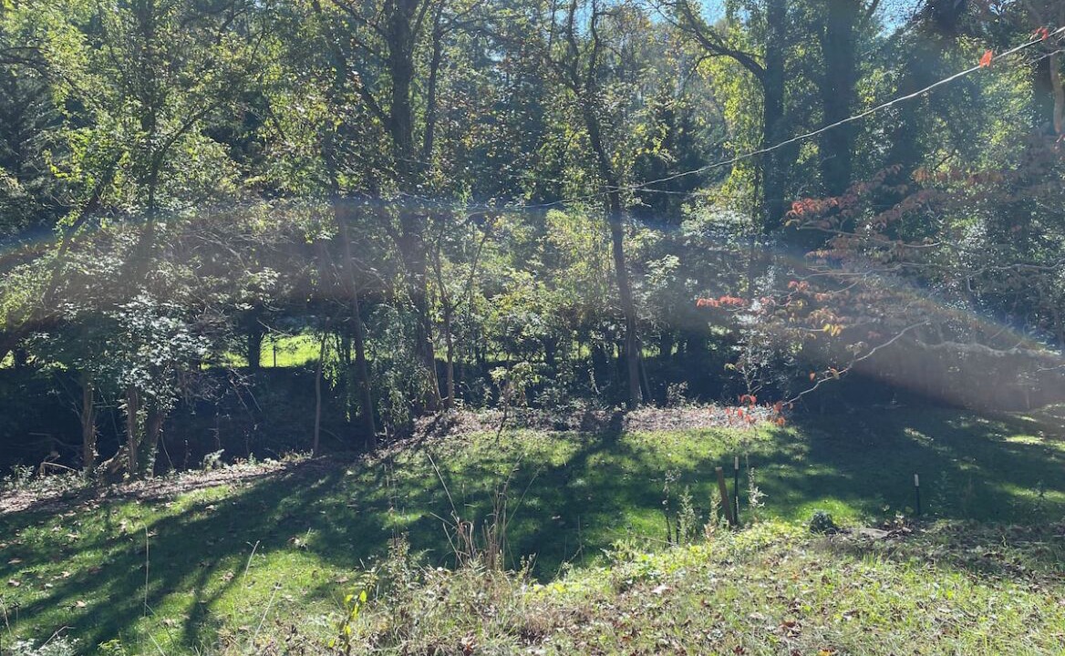 Photo of Outdoor in Haw Creek