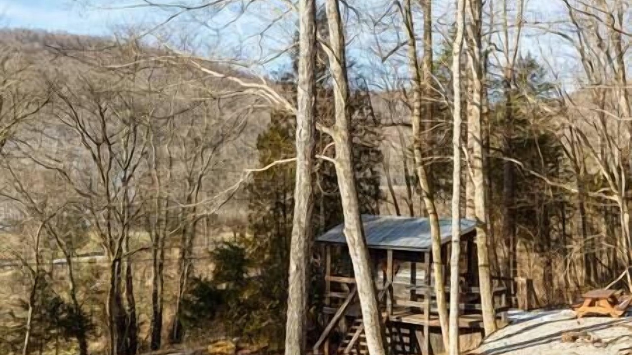 Photo of Outdoor in Lynx