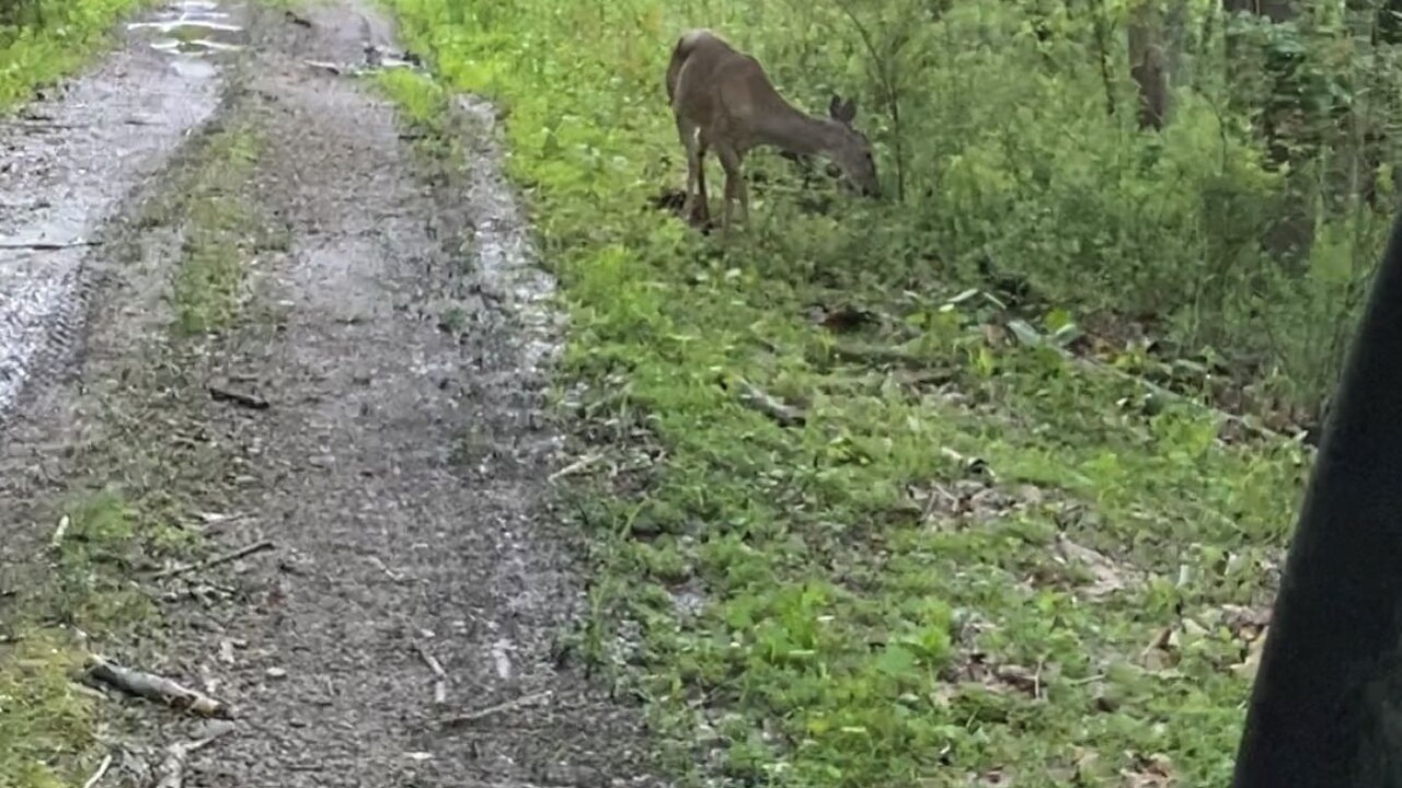 Photo of Others in Valley Bend