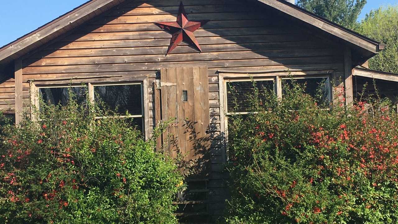 Photo of Outdoor in Winchester