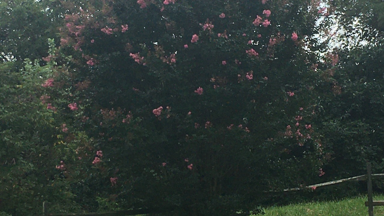 Photo of Outdoor in Winchester