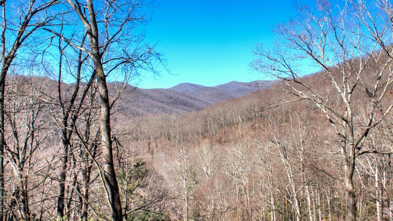 Photo of Others in Swannanoa