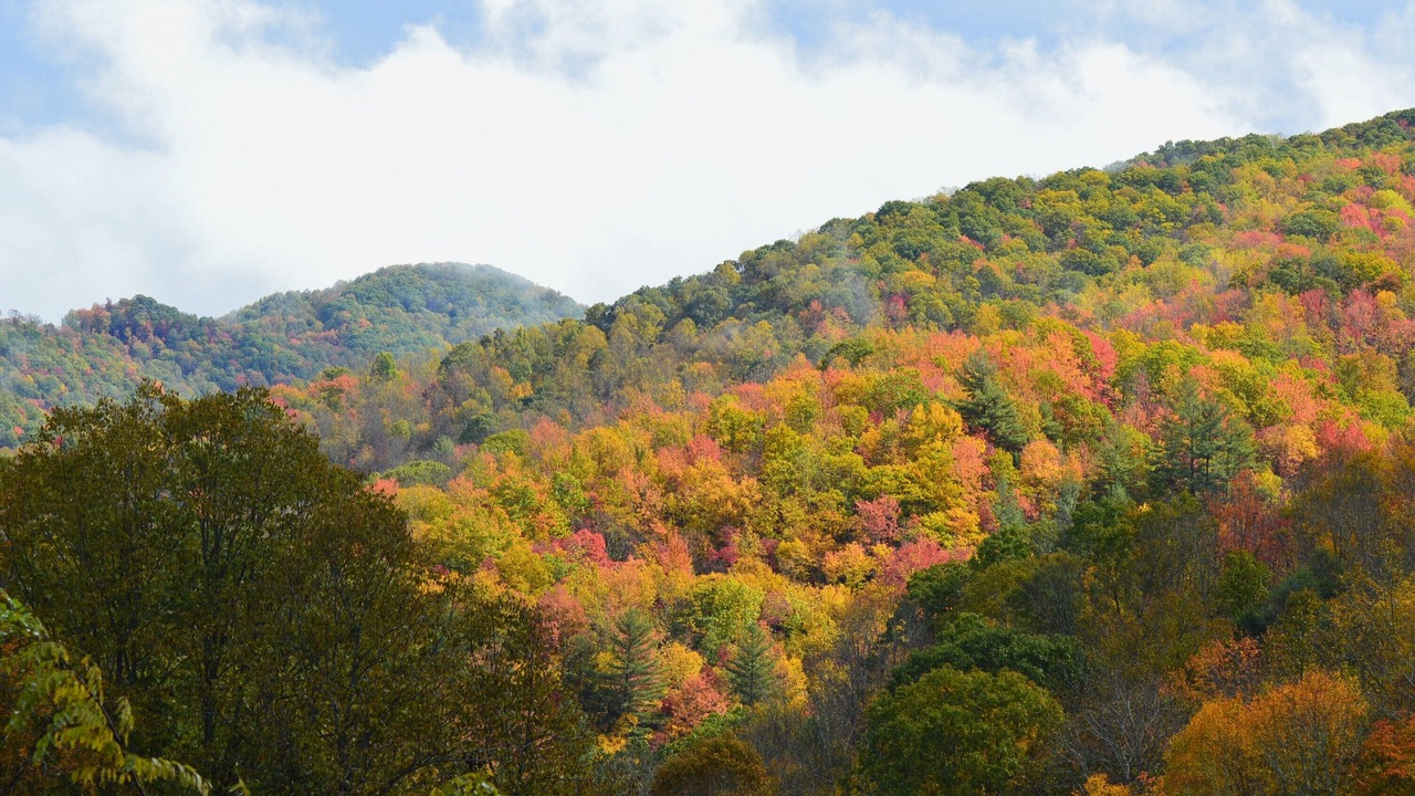 Photo of Outdoor in Elk Park