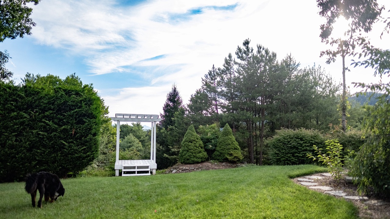 Photo of Outdoor in Asheville