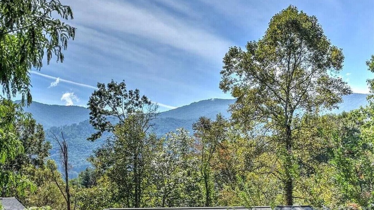 Photo of Others in Swannanoa