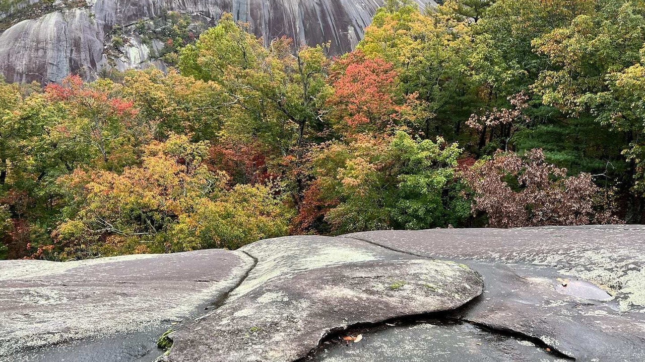 Photo of Outdoor in Traphill
