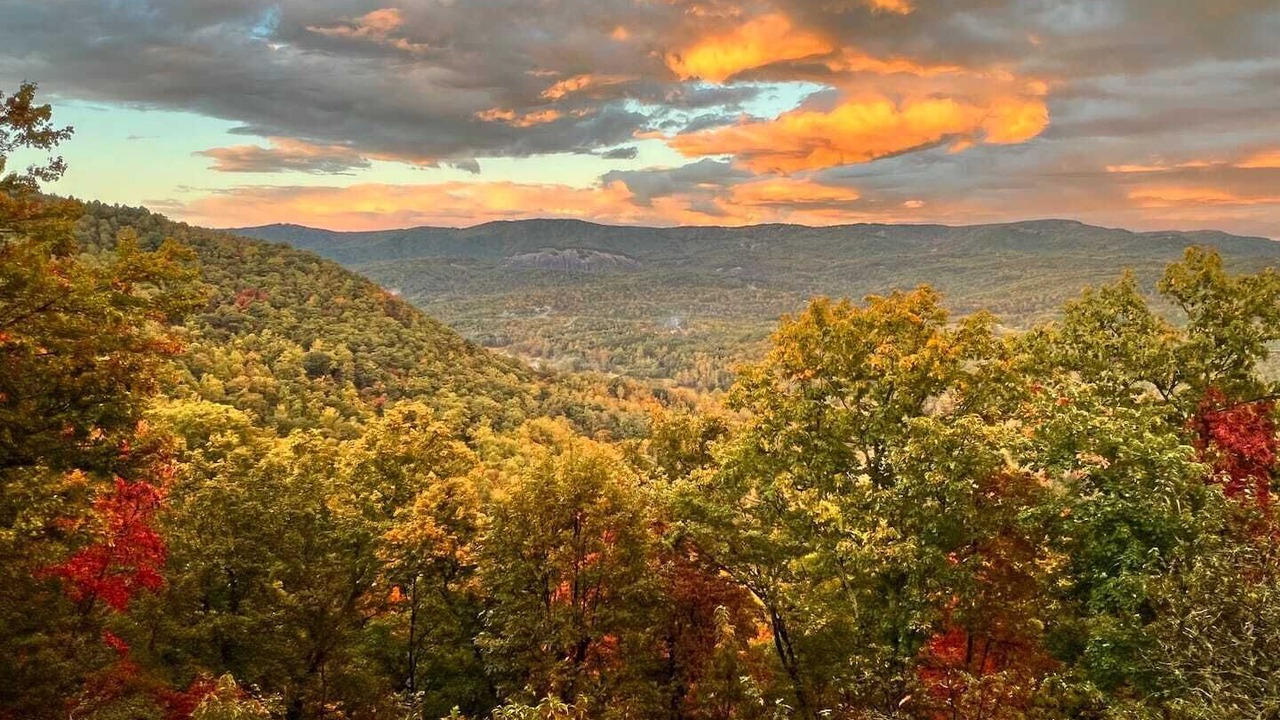Photo of Outdoor in Traphill