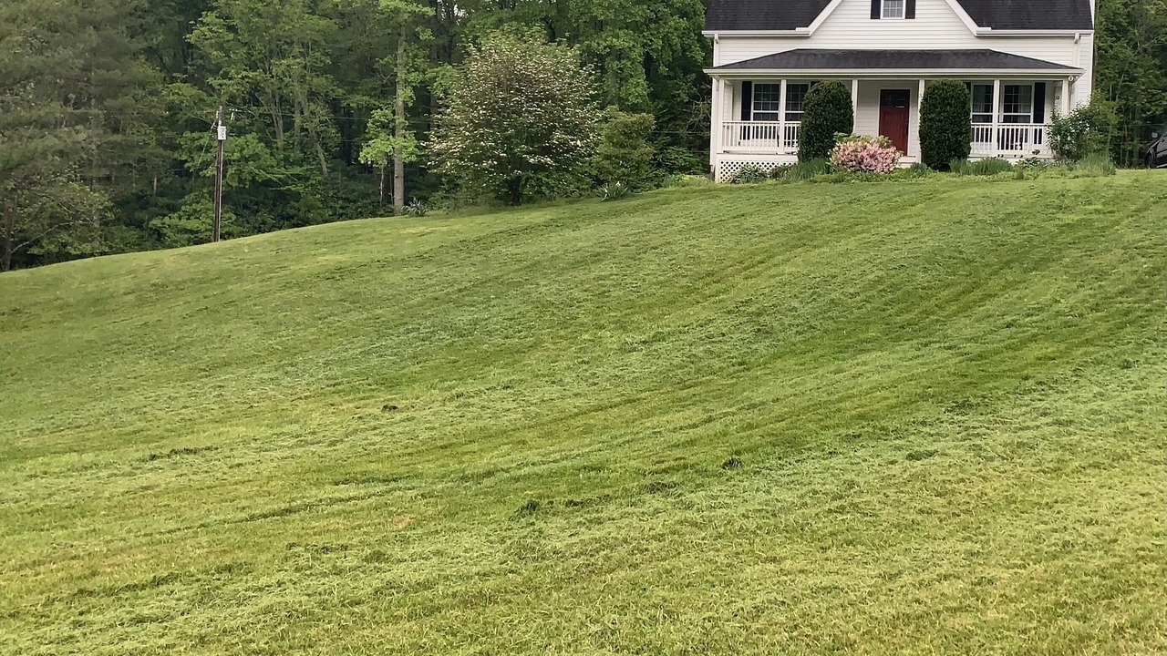 Photo of Outdoor in Fairview