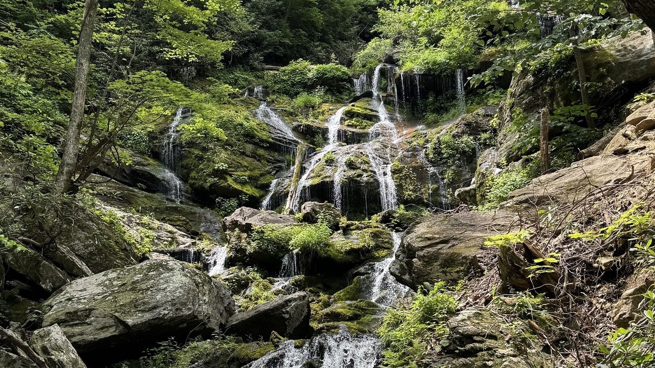 Photo of Others in Swannanoa