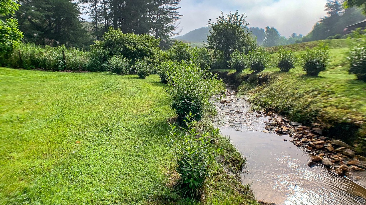 Photo of Outdoor in Jefferson