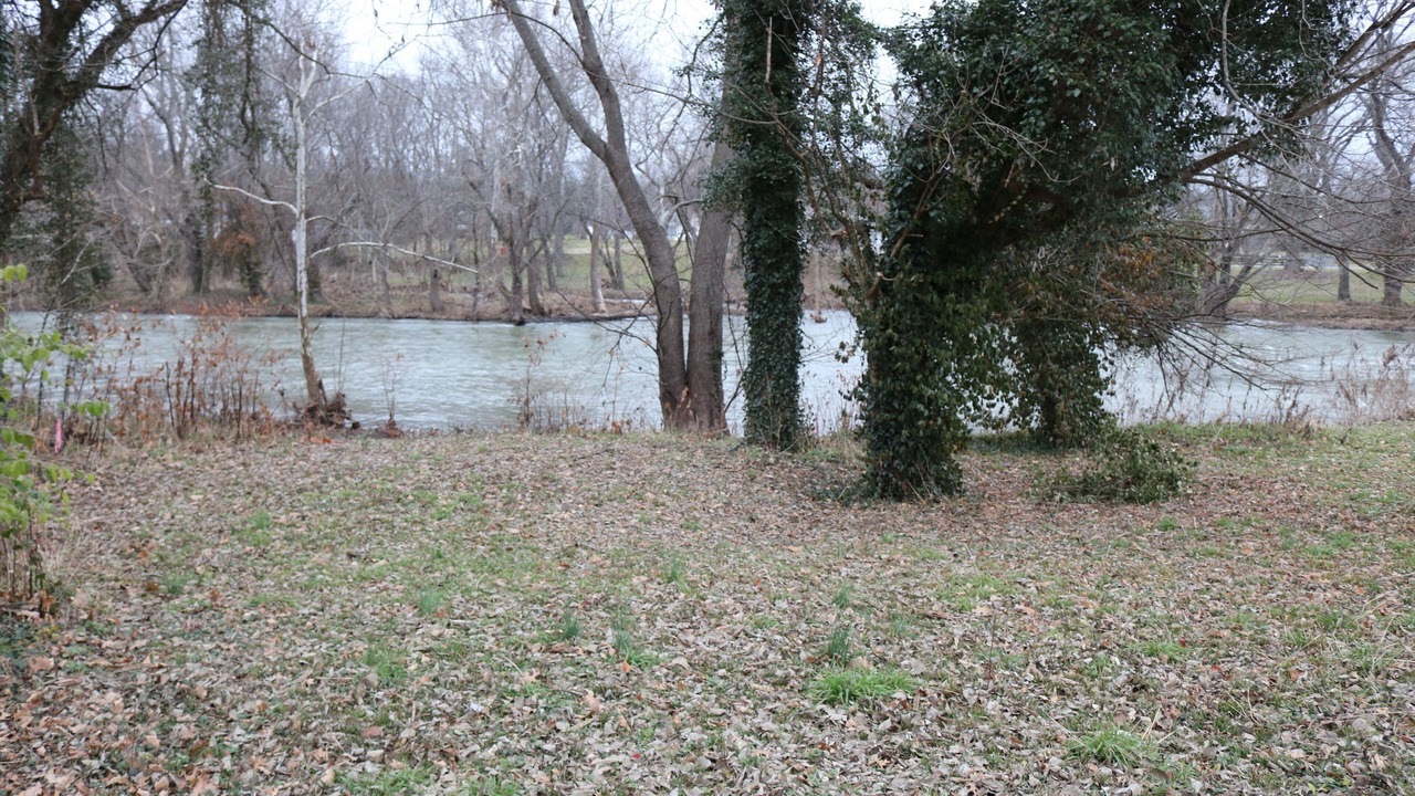 Photo of Others in Frankfort