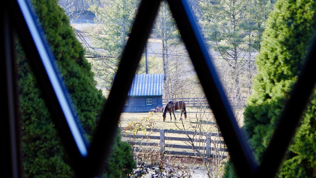 Photo of Others in Banner Elk