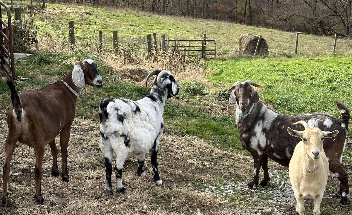 Photo of Others in Dry Ridge
