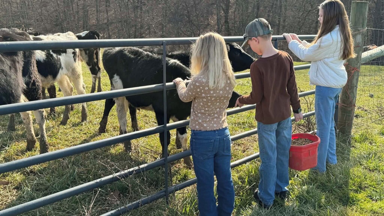 Photo of Others in Dry Ridge