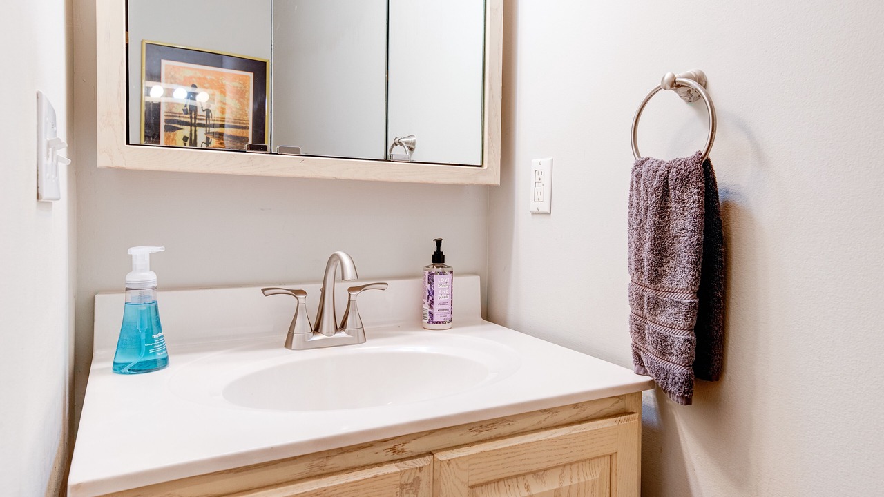 Photo of Bathroom in Woodfin