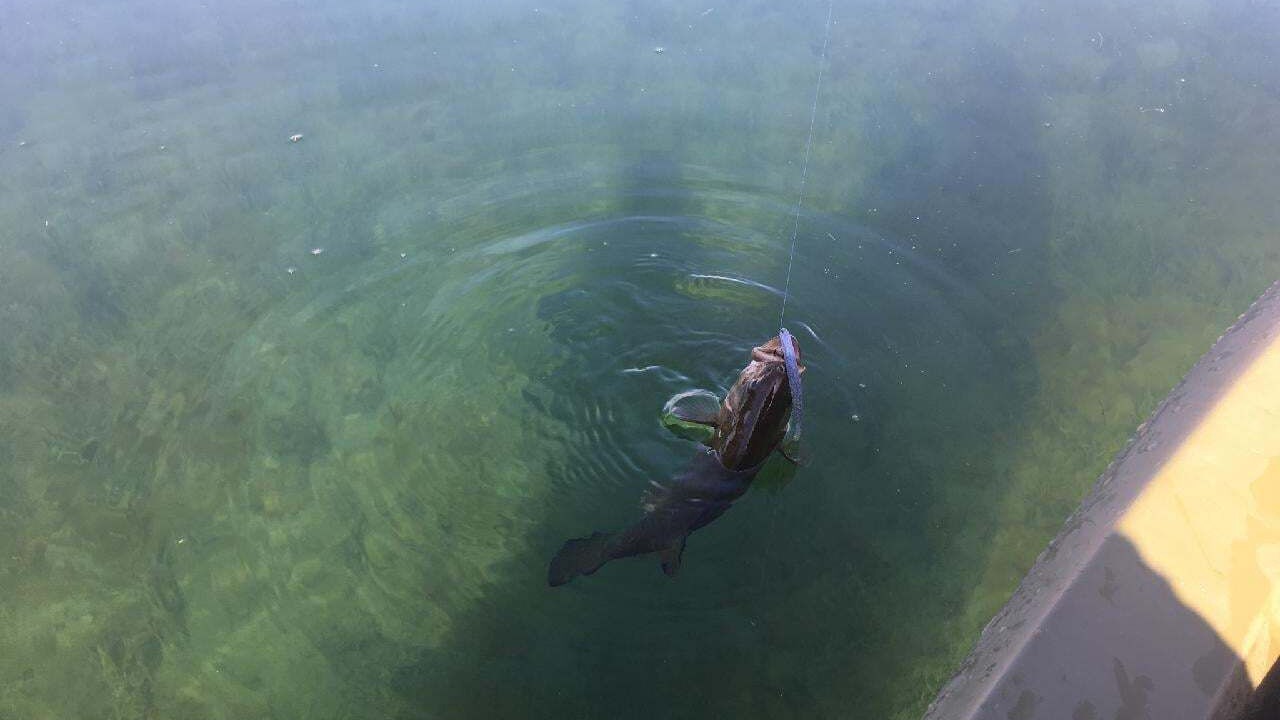 Photo of Others in Laughlin