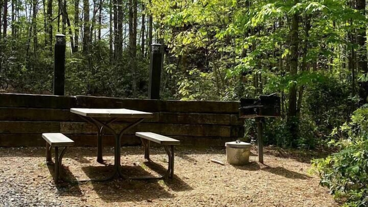 Photo of Others in Mill Spring