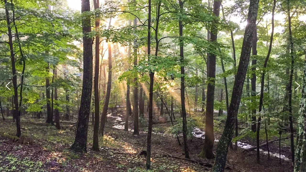 Photo of Others in Berkeley Springs