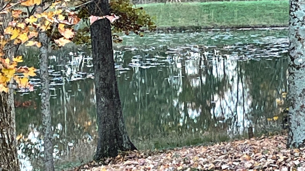 Photo of Others in Vevay