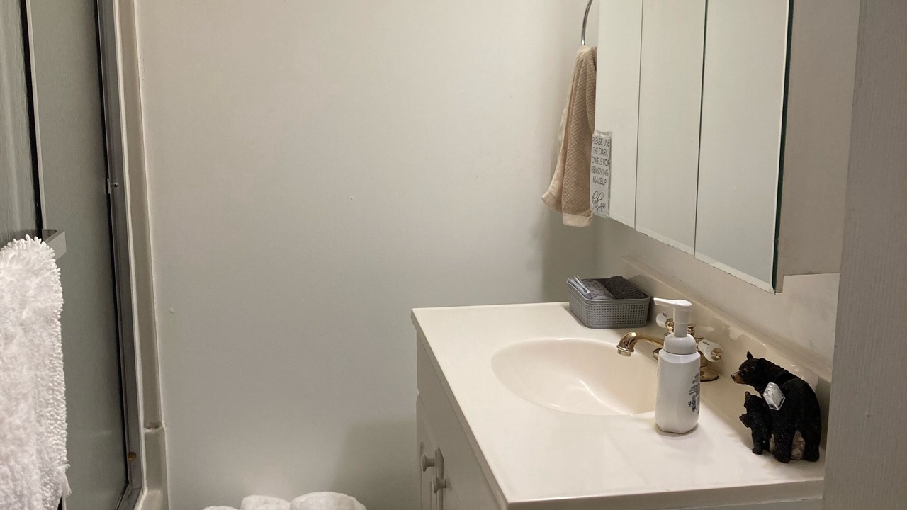 Photo of Bathroom in Hampton