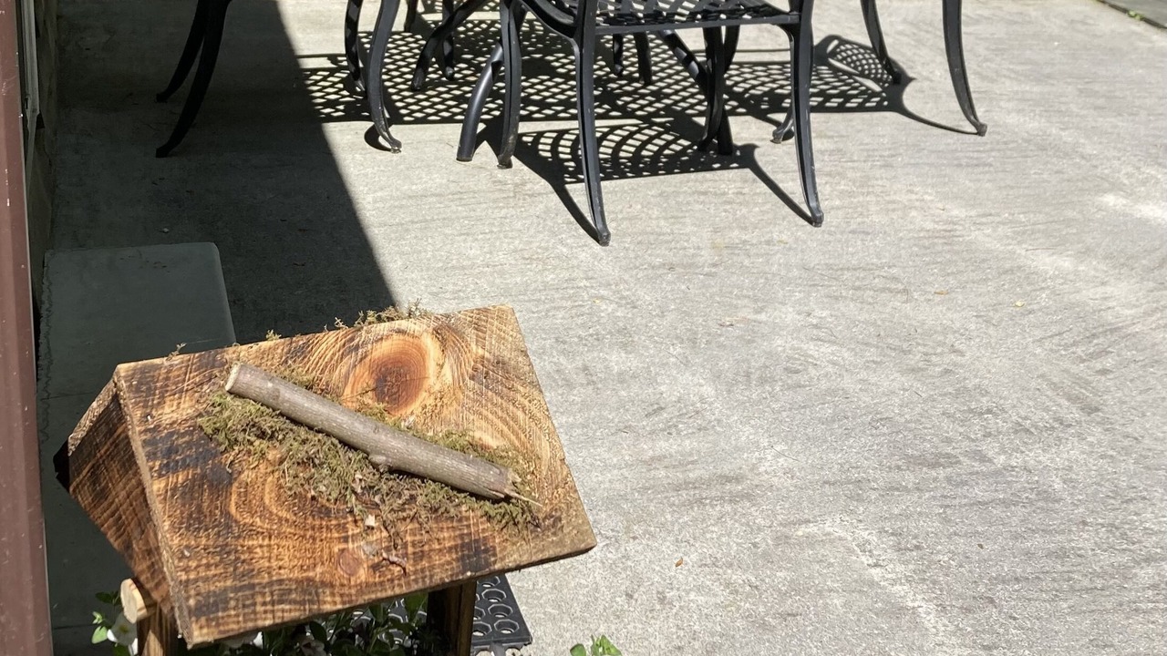 Photo of Outdoor in Hampton