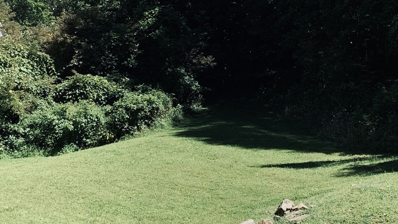 Photo of Outdoor in Roan Mountain