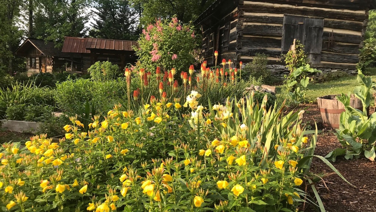 Photo of Outdoor in Limestone
