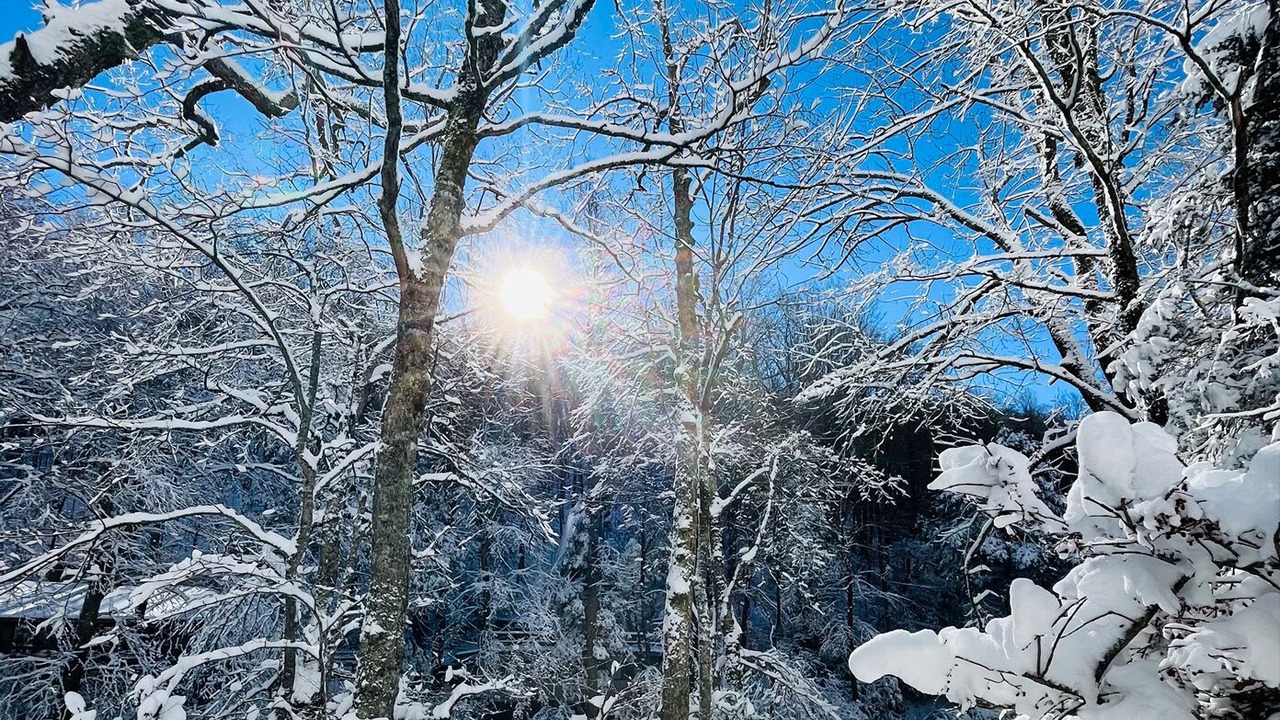 Photo of Outdoor in Boone