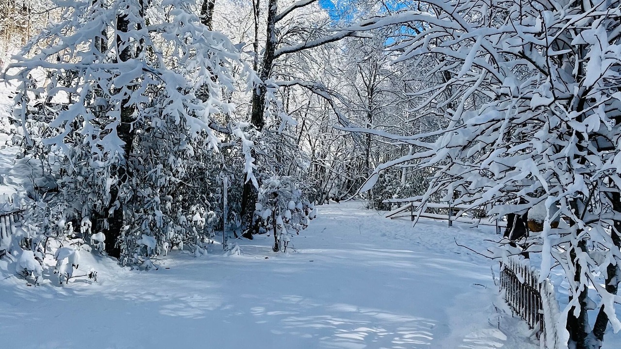 Photo of Others in Boone