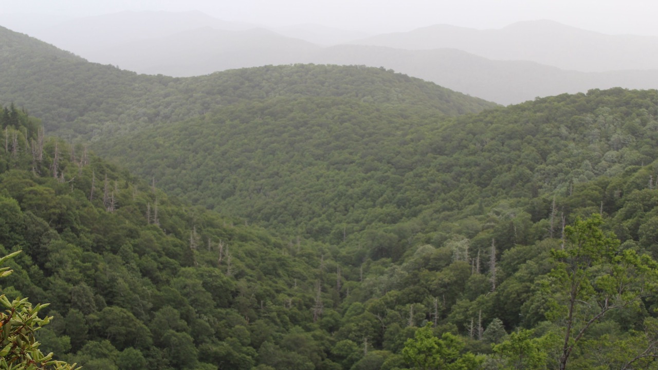 Photo of Outdoor in Woodfin