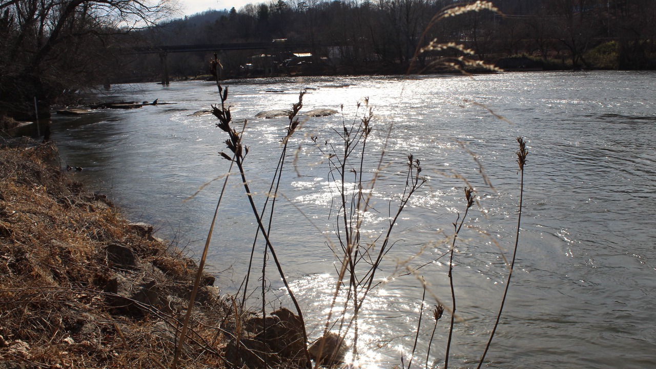 Photo of Outdoor in Woodfin