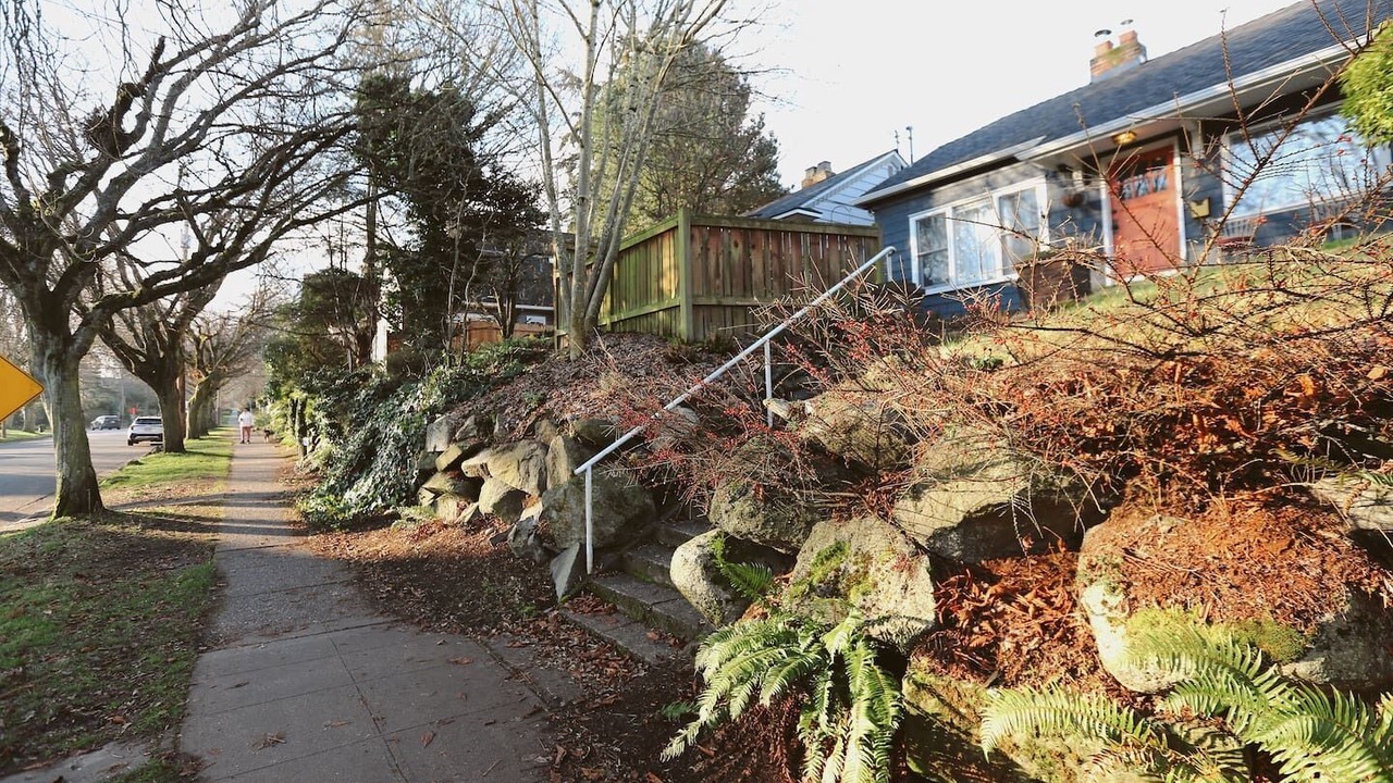 Photo of Others in North Queen Anne