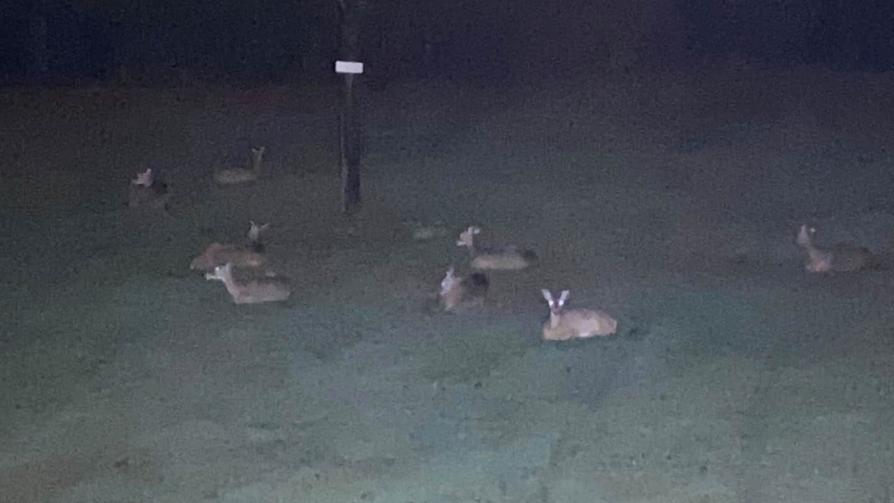 Photo of Others in Charleston