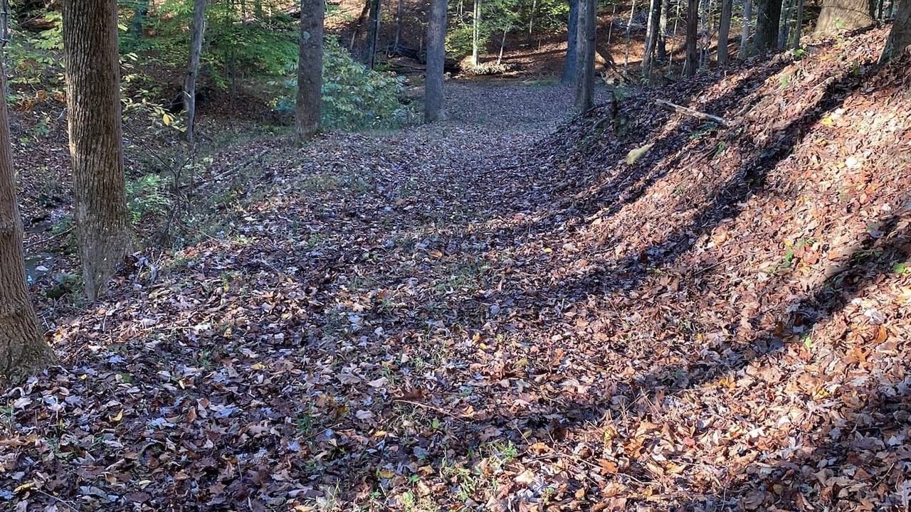 Photo of Outdoor in Charleston