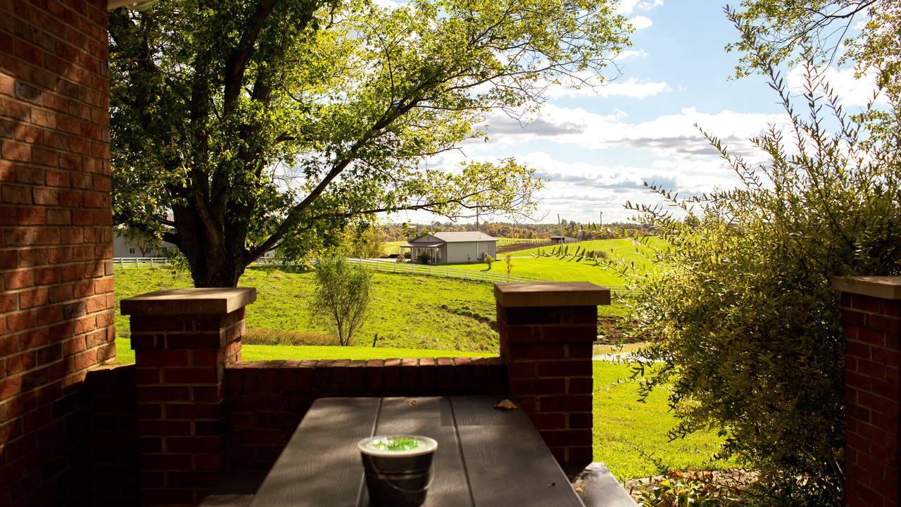 Photo of Outdoor in Williamstown