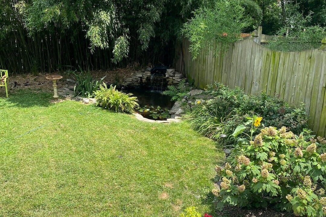 Photo of Outdoor in Covington
