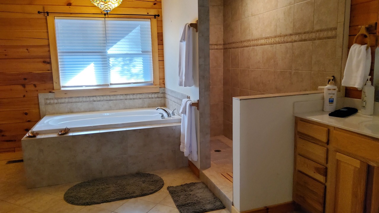 Photo of Bathroom in Vein Mountain