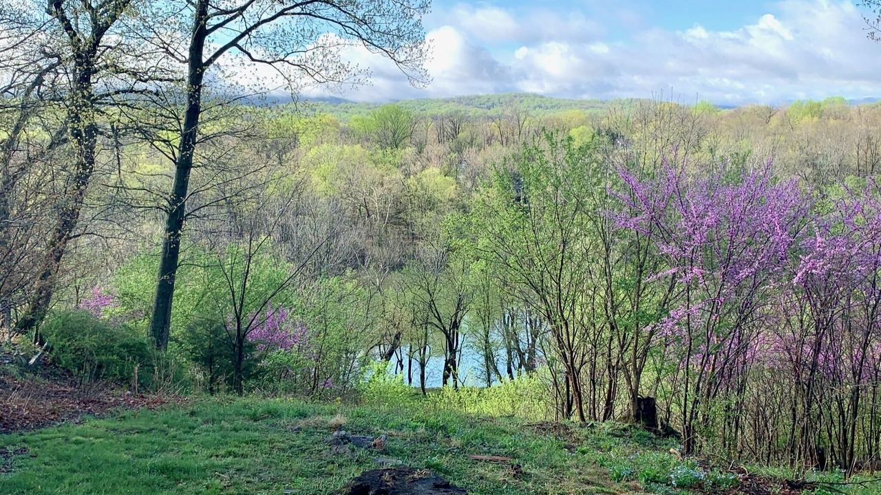Photo of Outdoor in Kabletown