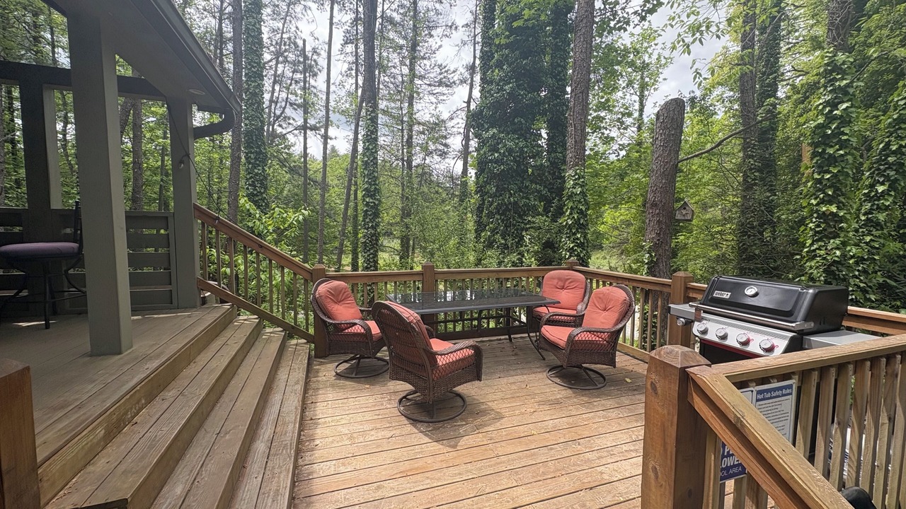 Photo of Outdoor in Brevard
