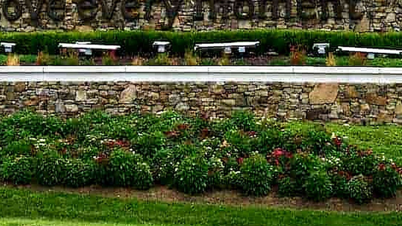 Photo of Others in Pittman Center