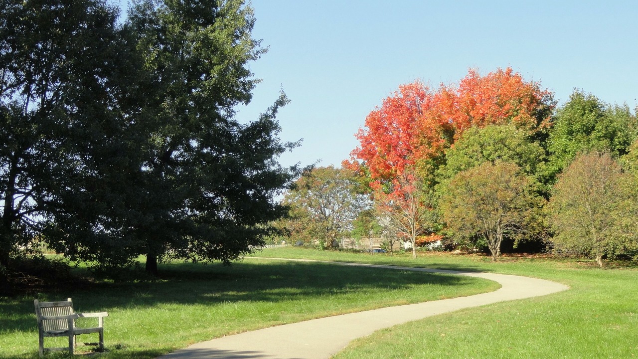 Photo of Outdoor in Lexington