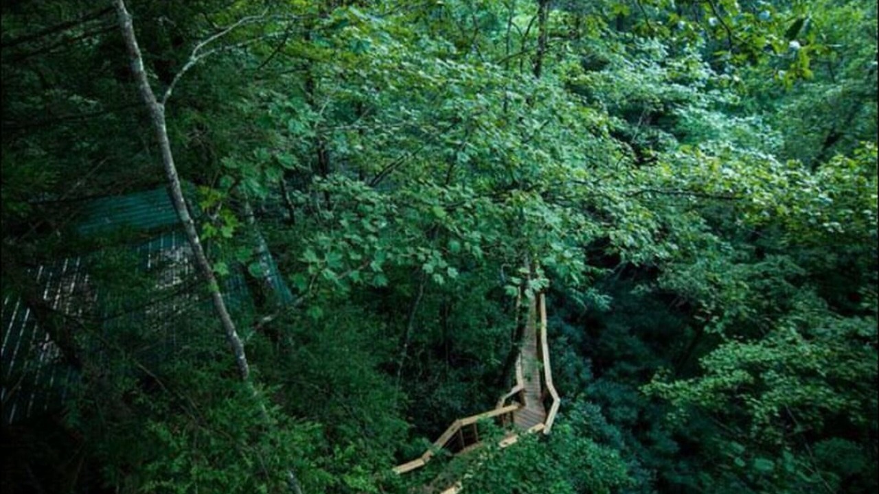 Photo of Others in Stanton